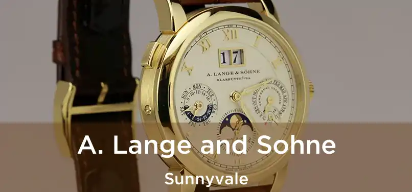  A. Lange and Sohne Sunnyvale