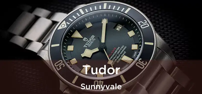  Tudor Sunnyvale